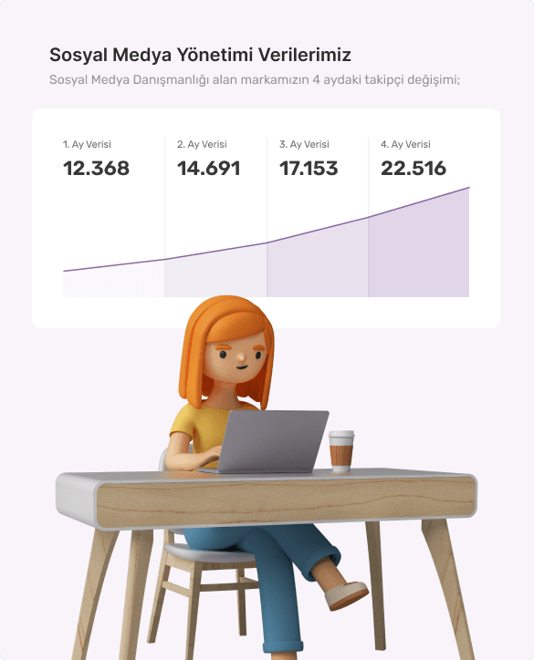 Sosyal medya reklam kampanyası ve dönüşüm optimizasyonu